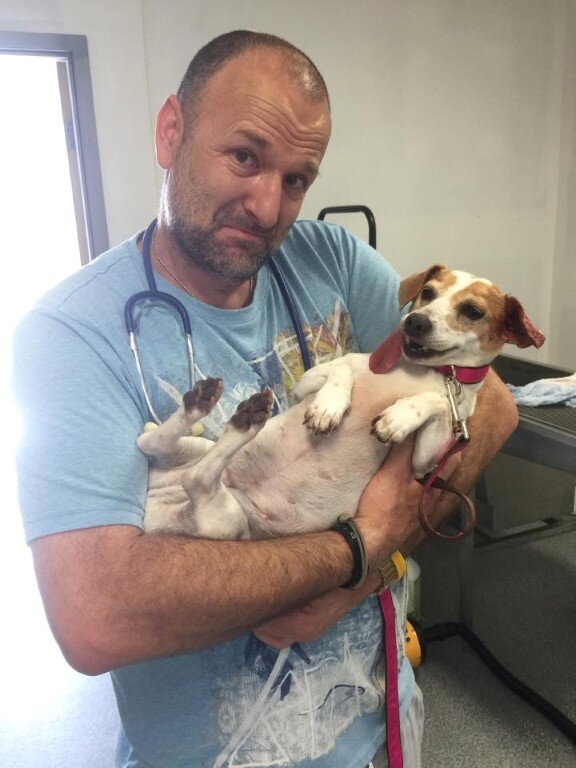 Owner giving medicine to a pet with care